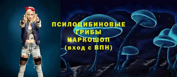 винт Протвино