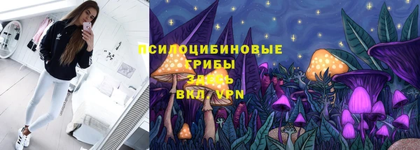 а пвп мука Алзамай